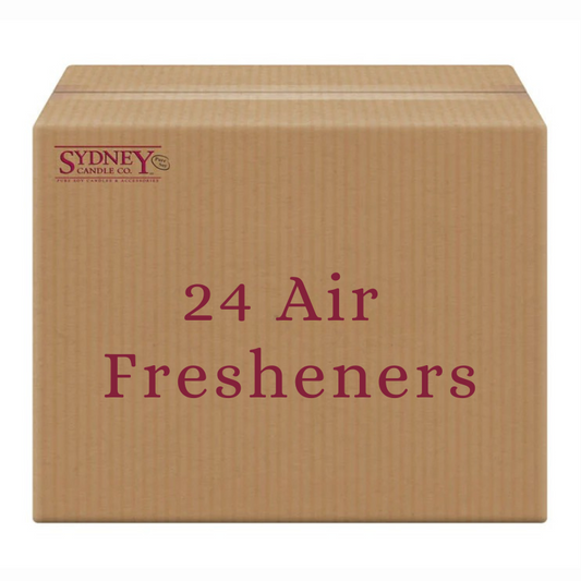 Car Air Freshener Case